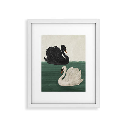 Black Swan White Swan Framed Art Print Gallery Image 14