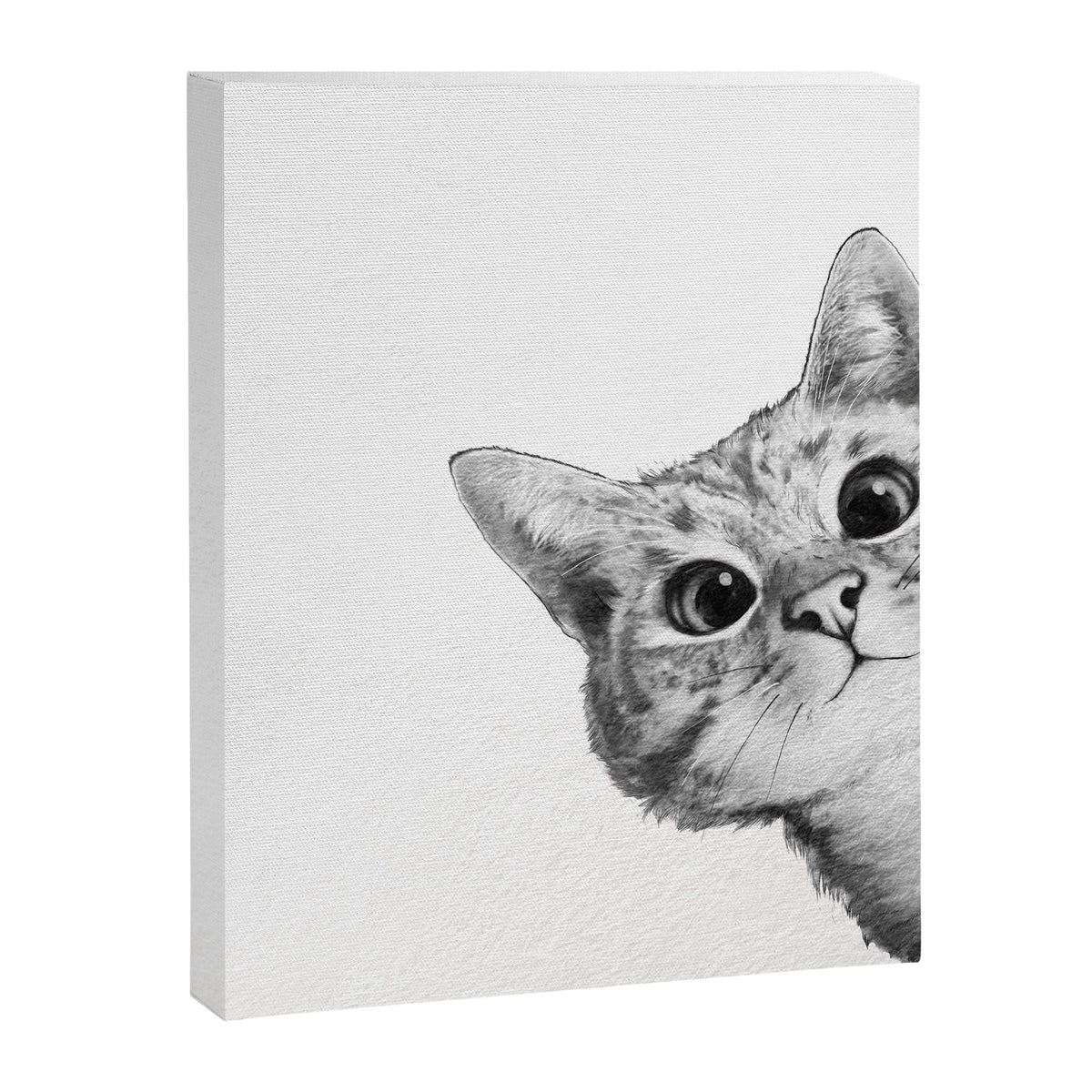 sneaky cat Canvas Print Gallery Image 7