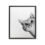sneaky cat Framed Canvas Print Gallery Image 1