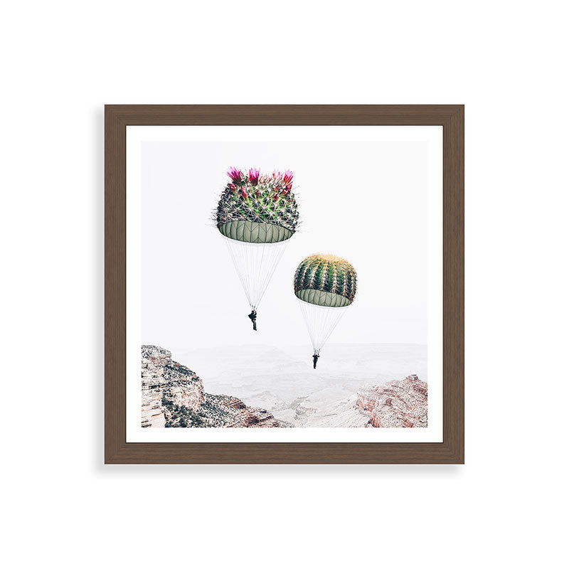 Flying Cacti Framed Art Print Gallery Image 60