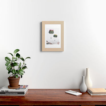 Flying Cacti Framed Art Print Gallery Image 62
