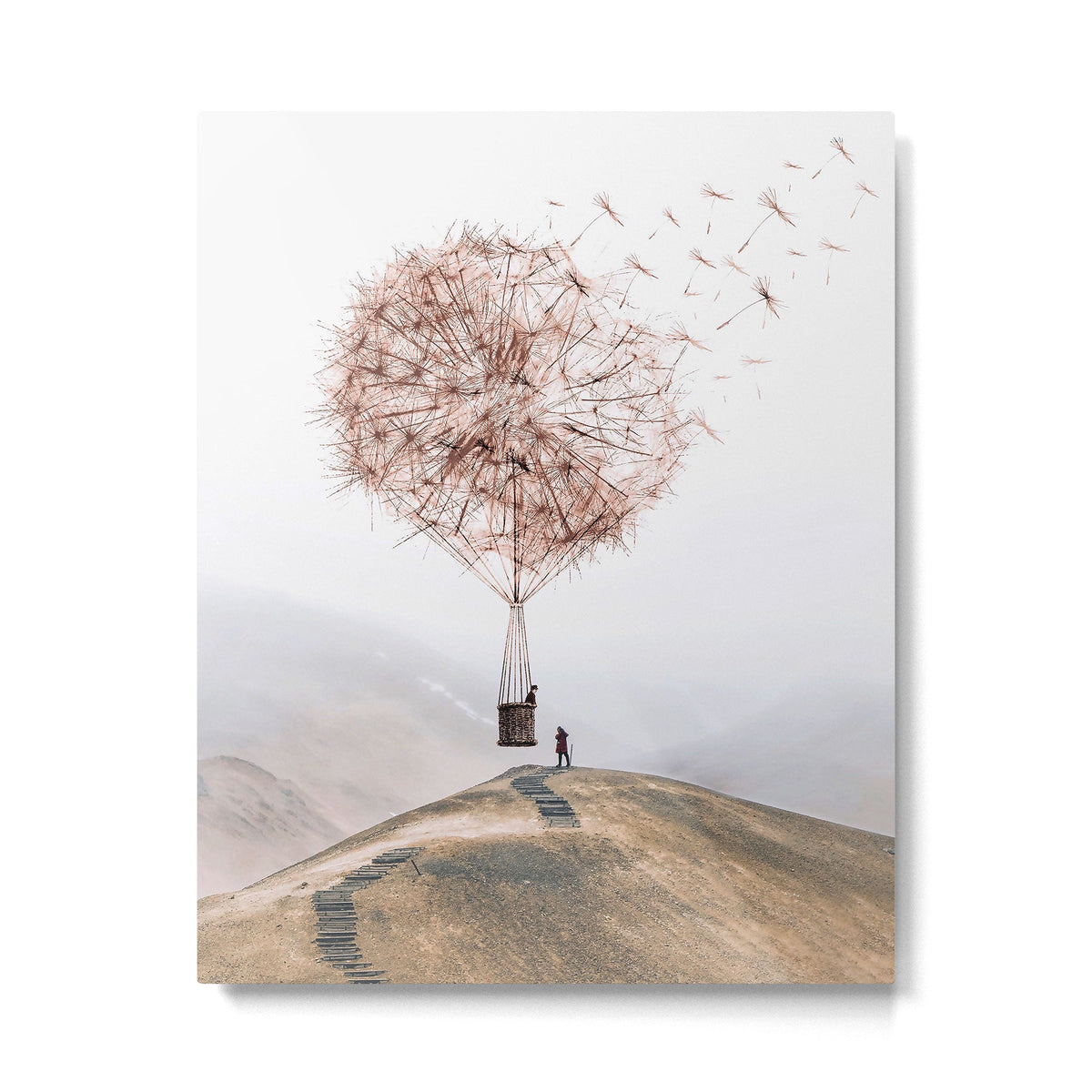 Flying Dandelion Metal Print Gallery Image 6