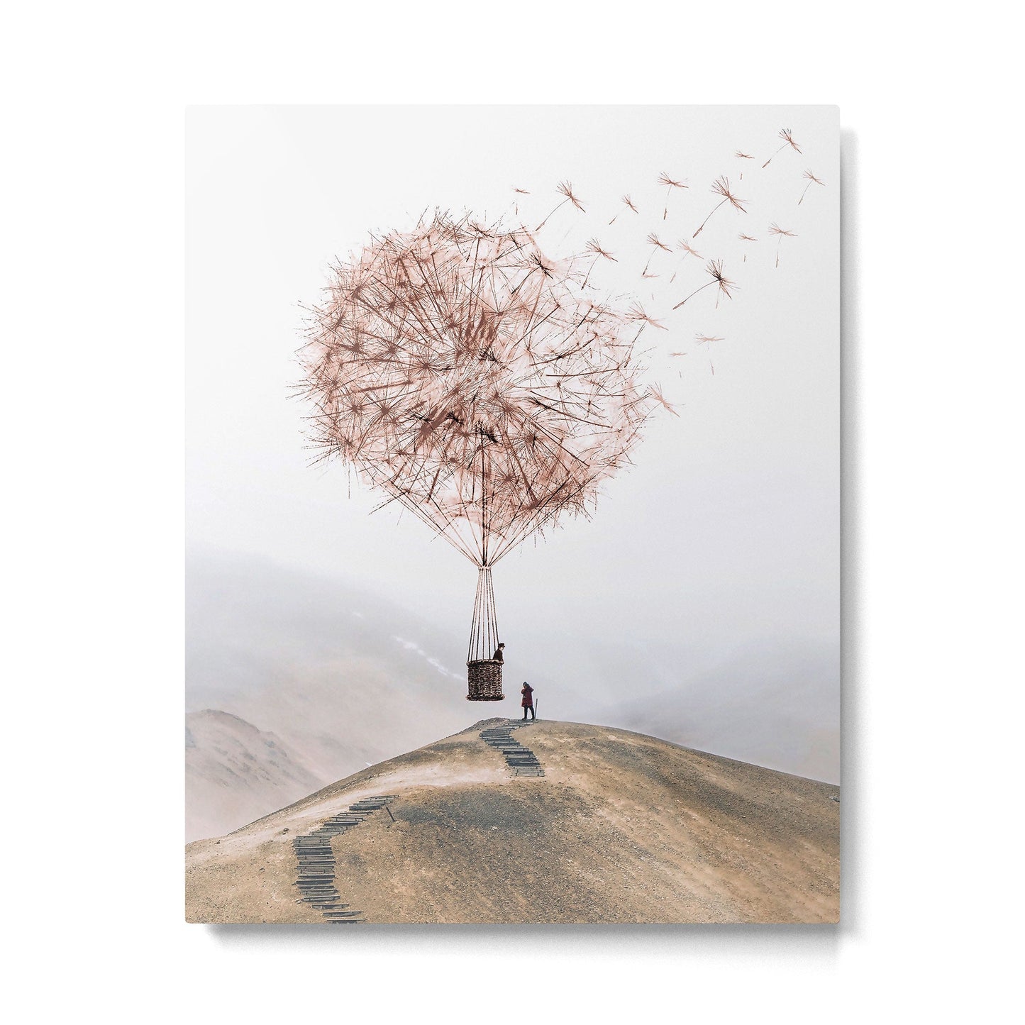 Flying Dandelion Metal Print Gallery Image 4