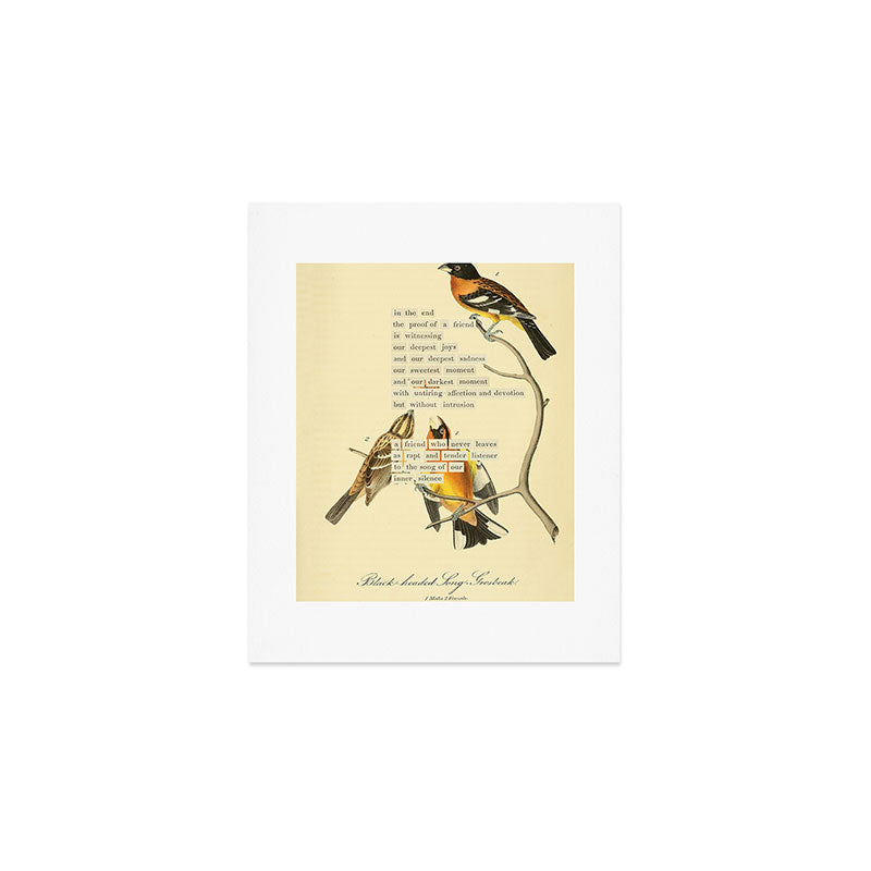 Bird Divinations: Black-headed Song-grosbeak (about: almanacofbirds.org) Art Print Gallery Image 1