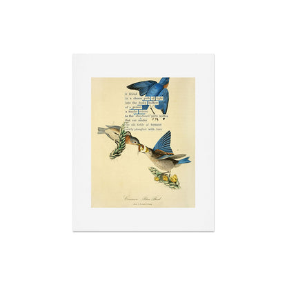Bird Divinations: Blue Bird (about: almanacofbirds.org) Art Print Gallery Image 5