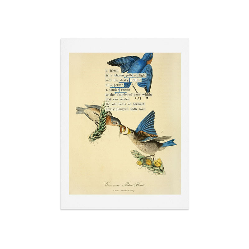 Bird Divinations: Blue Bird (about: almanacofbirds.org) Art Print Gallery Image 7