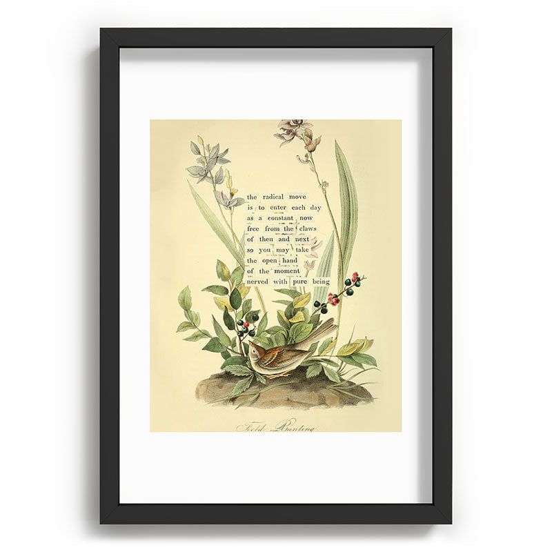 Bird Divinations: Field Bunting (about: almanacofbirds.org) Framed Art Print Gallery Image 59