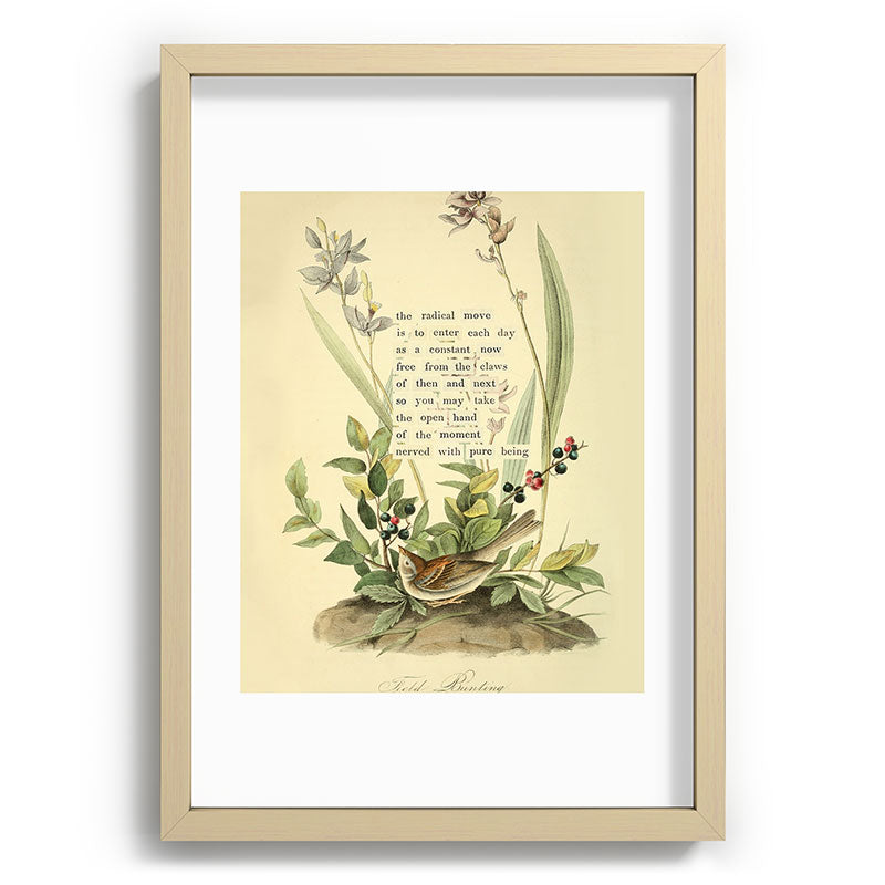 Bird Divinations: Field Bunting (about: almanacofbirds.org) Framed Art Print Gallery Image 71