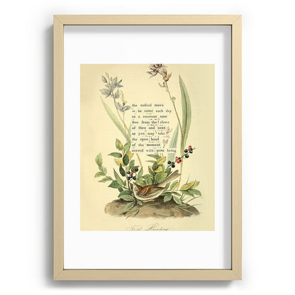 Bird Divinations: Field Bunting (about: almanacofbirds.org) Framed Art Print Gallery Image 71