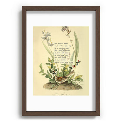 Bird Divinations: Field Bunting (about: almanacofbirds.org) Framed Art Print Gallery Image 65