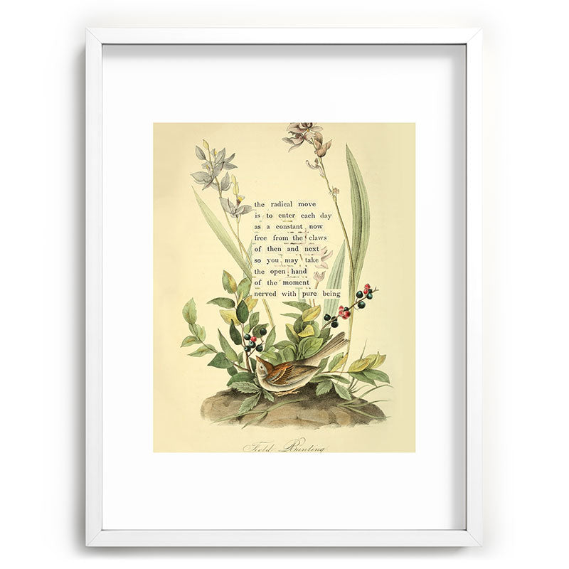 Bird Divinations: Field Bunting (about: almanacofbirds.org) Framed Art Print Gallery Image 78