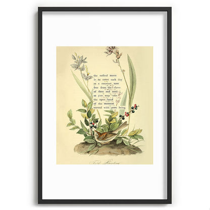 Bird Divinations: Field Bunting (about: almanacofbirds.org) Framed Art Print Gallery Image 62