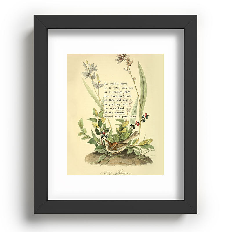 Bird Divinations: Field Bunting (about: almanacofbirds.org) Framed Art Print Gallery Image 57