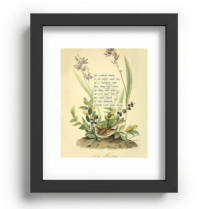 Bird Divinations: Field Bunting (about: almanacofbirds.org) Framed Art Print Gallery Image 57