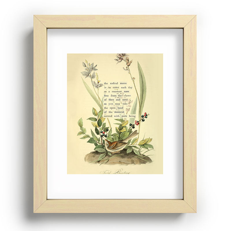 Bird Divinations: Field Bunting (about: almanacofbirds.org) Framed Art Print Gallery Image 69