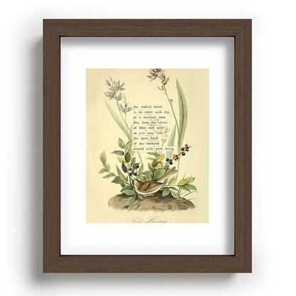 Bird Divinations: Field Bunting (about: almanacofbirds.org) Framed Art Print Gallery Image 63