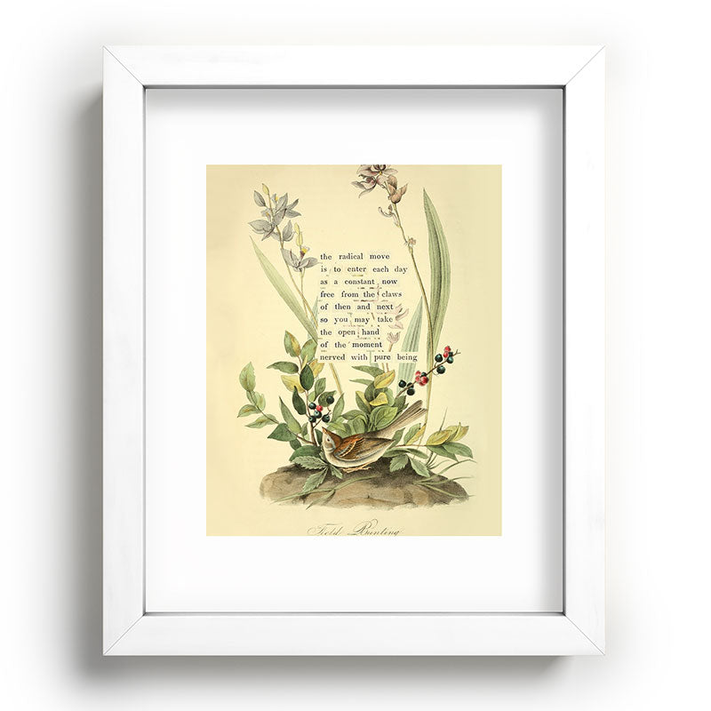 Bird Divinations: Field Bunting (about: almanacofbirds.org) Framed Art Print Gallery Image 75