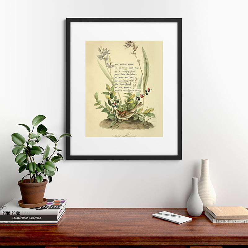Bird Divinations: Field Bunting (about: almanacofbirds.org) Framed Art Print Gallery Image 35