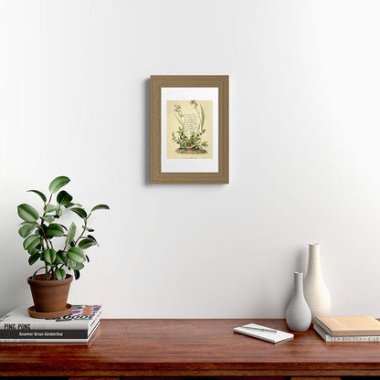 Bird Divinations: Field Bunting (about: almanacofbirds.org) Framed Art Print Gallery Image 38