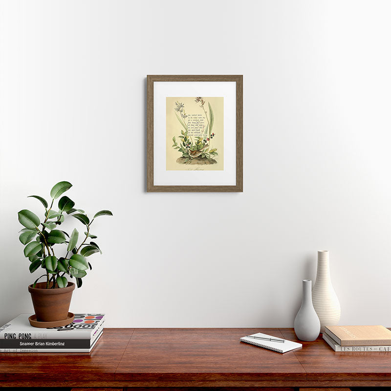 Bird Divinations: Field Bunting (about: almanacofbirds.org) Framed Art Print Gallery Image 39
