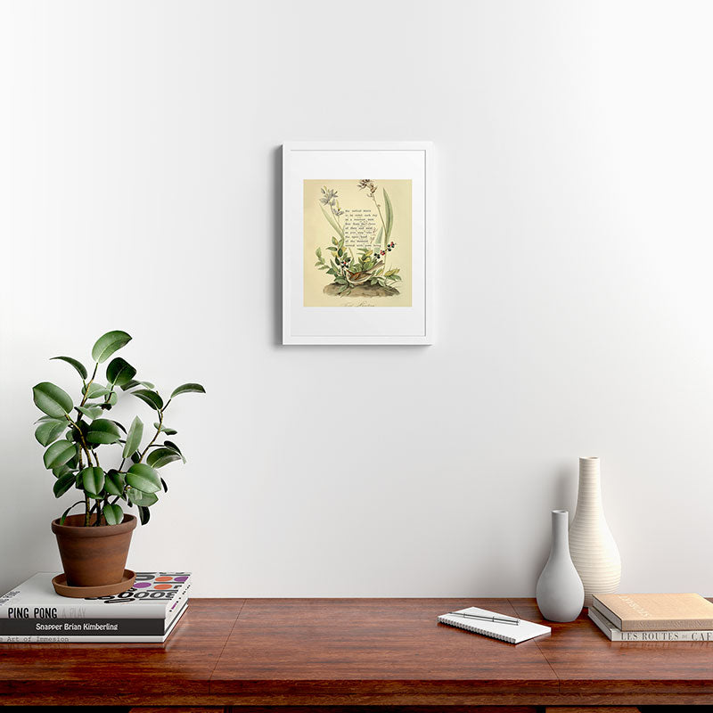 Bird Divinations: Field Bunting (about: almanacofbirds.org) Framed Art Print Gallery Image 24
