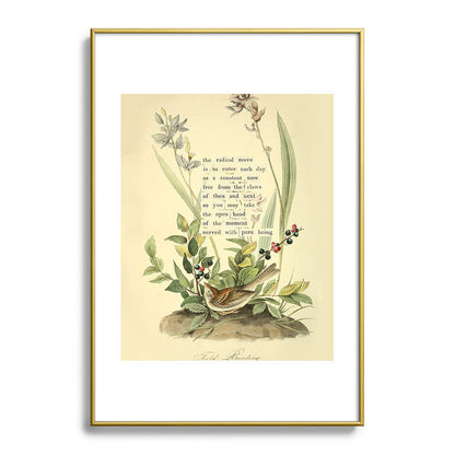 Bird Divinations: Field Bunting (about: almanacofbirds.org) Framed Art Print Gallery Image 90