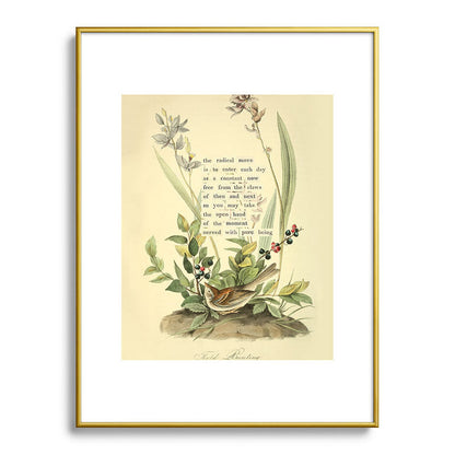 Bird Divinations: Field Bunting (about: almanacofbirds.org) Framed Art Print Gallery Image 91