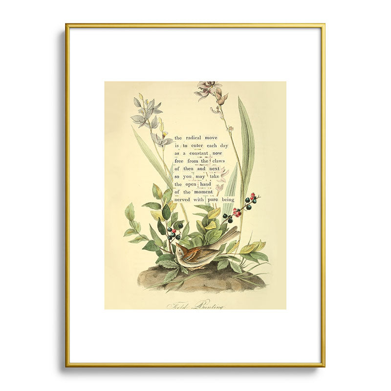 Bird Divinations: Field Bunting (about: almanacofbirds.org) Framed Art Print Gallery Image 92