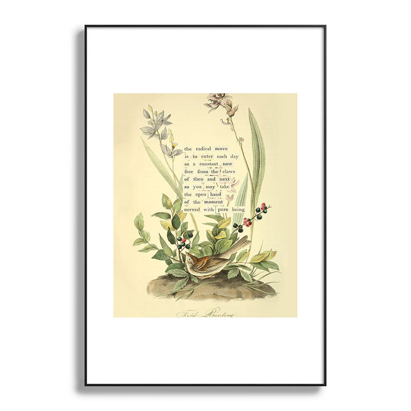 Bird Divinations: Field Bunting (about: almanacofbirds.org) Framed Art Print Gallery Image 86