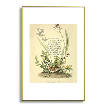 Bird Divinations: Field Bunting (about: almanacofbirds.org) Framed Art Print Gallery Image 94