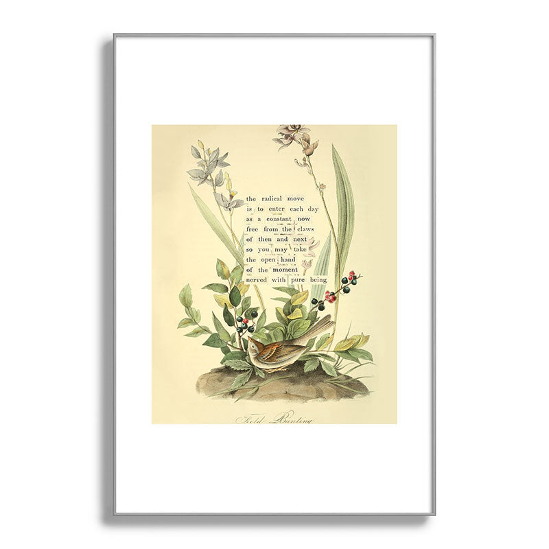 Bird Divinations: Field Bunting (about: almanacofbirds.org) Framed Art Print Gallery Image 100