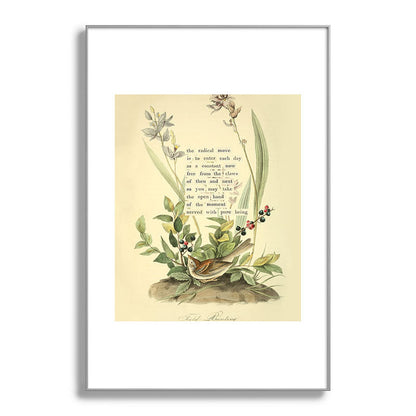 Bird Divinations: Field Bunting (about: almanacofbirds.org) Framed Art Print Gallery Image 101