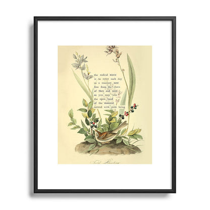 Bird Divinations: Field Bunting (about: almanacofbirds.org) Framed Art Print Gallery Image 82