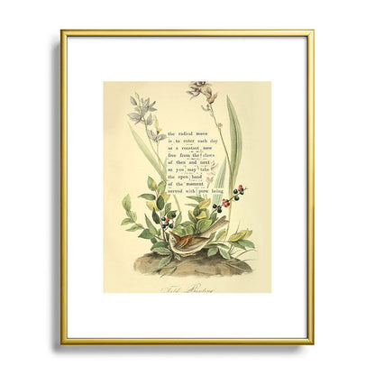 Bird Divinations: Field Bunting (about: almanacofbirds.org) Framed Art Print Gallery Image 89