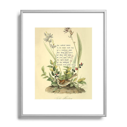 Bird Divinations: Field Bunting (about: almanacofbirds.org) Framed Art Print Gallery Image 96