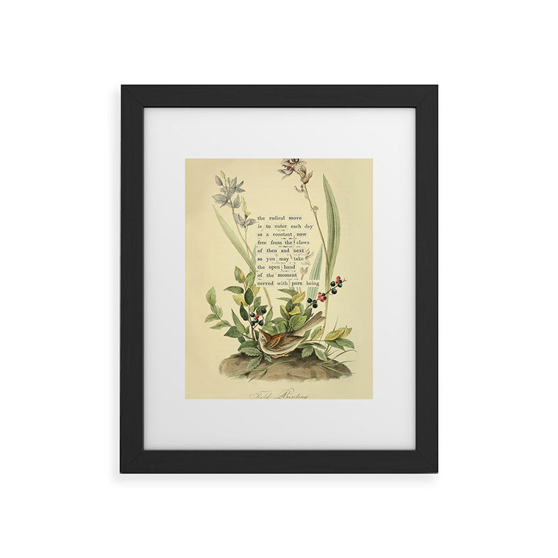 Bird Divinations: Field Bunting (about: almanacofbirds.org) Framed Art Print Gallery Image 29