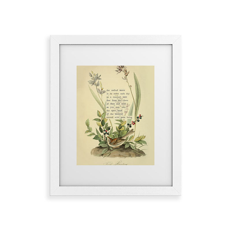 Bird Divinations: Field Bunting (about: almanacofbirds.org) Framed Art Print Gallery Image 53