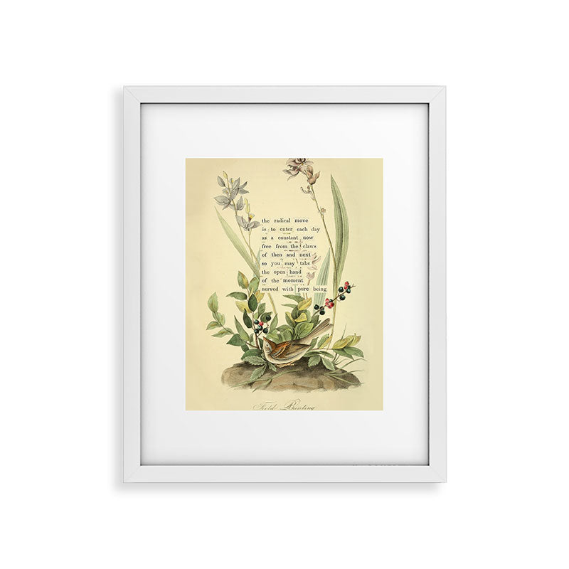 Bird Divinations: Field Bunting (about: almanacofbirds.org) Framed Art Print Gallery Image 23
