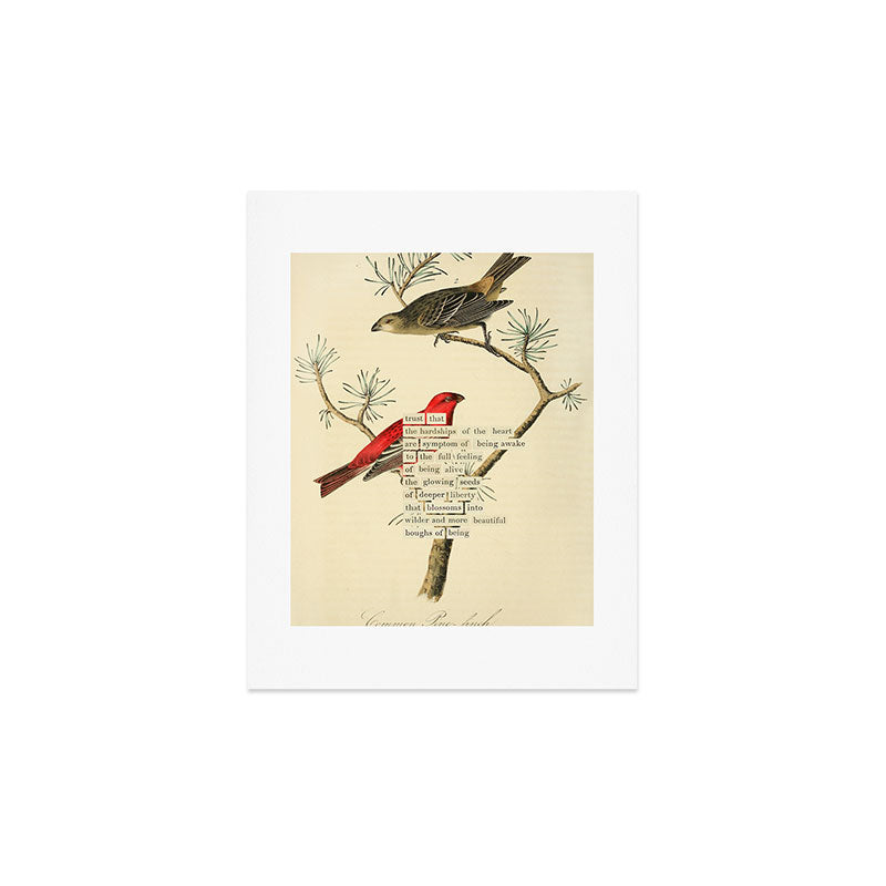 Bird Divinations: Pine Finch (about: almanacofbirds.org) Art Print Gallery Image 3