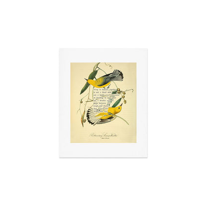 Bird Divinations: Prothonotary swamp warbler (about: almanacofbirds.org) Art Print Gallery Image 1