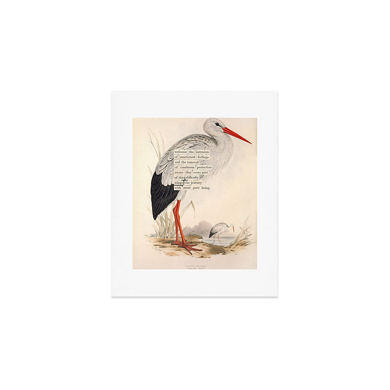 Bird Divinations: White Stork (about: almanacofbirds.org) Art Print Gallery Image 1