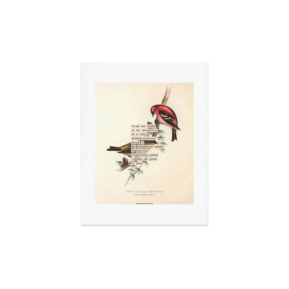 Bird Divinations: White-Winged Cross Bill (about: almanacofbirds.org) Art Print Gallery Image 2