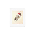 Bird Divinations: White-Winged Cross Bill (about: almanacofbirds.org) Art Print Gallery Image 1