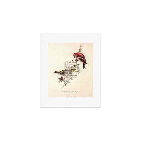 Bird Divinations: White-Winged Cross Bill (about: almanacofbirds.org) Art Print Gallery Image 1