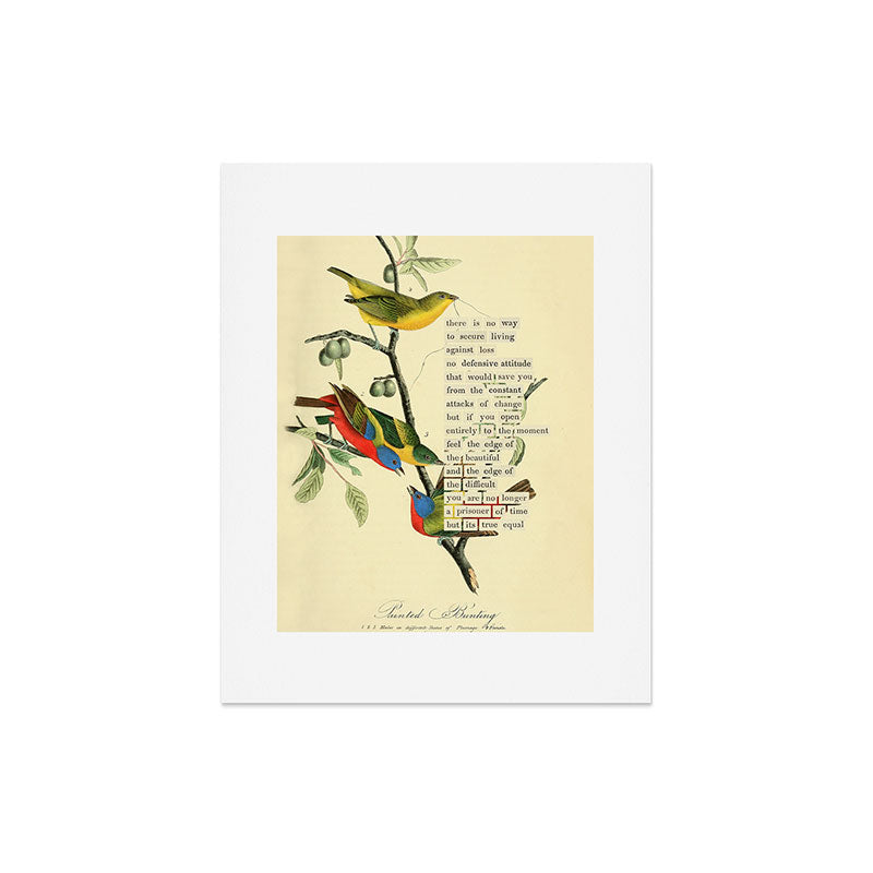 Painted Bunting from 'An Almanac of Birds - Divinations for Uncertain Days' (almanacofbirds.org) Art Print Gallery Image 5