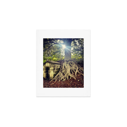Possible Certainties Art Print Gallery Image 1