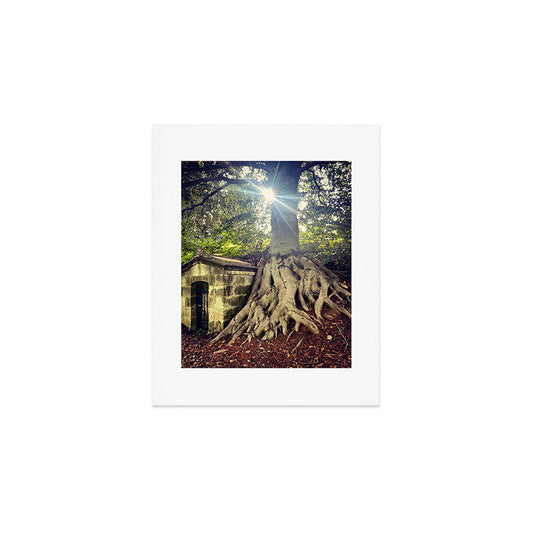 Possible Certainties Art Print Gallery Image 1