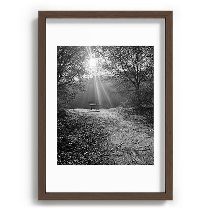 "Sunlit Solitude" by Maria Popova Framed Art Print Gallery Image 65