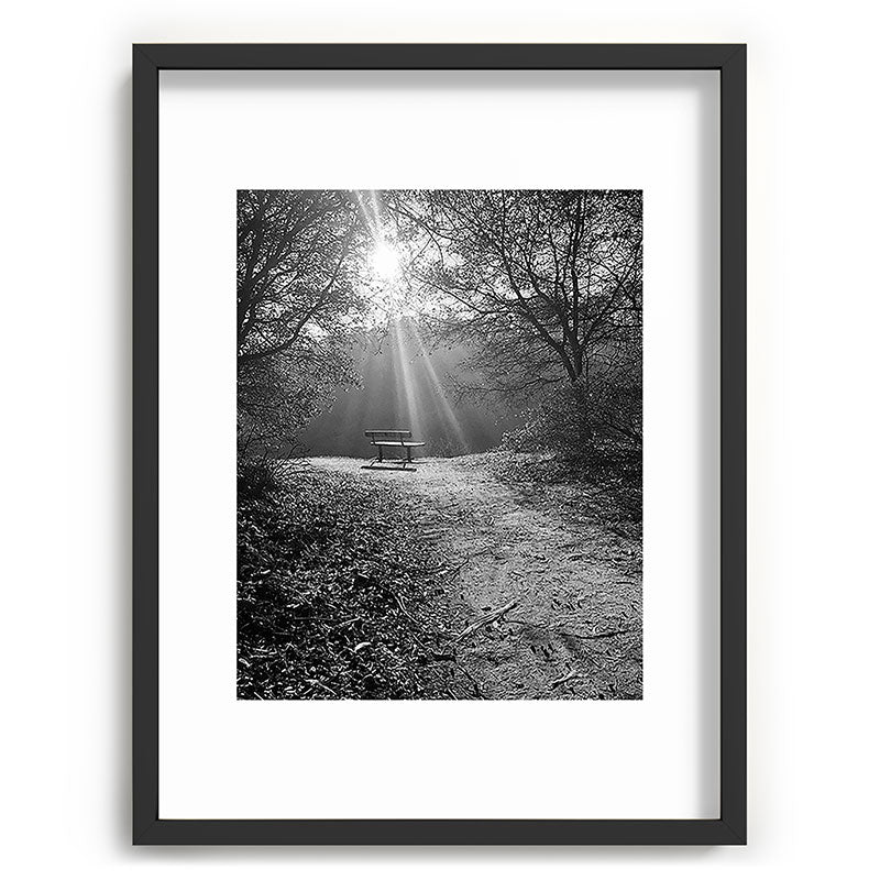 "Sunlit Solitude" by Maria Popova Framed Art Print Gallery Image 60