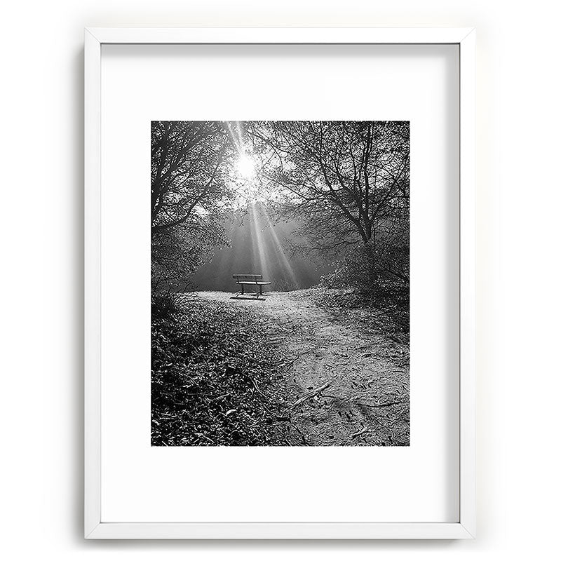 "Sunlit Solitude" by Maria Popova Framed Art Print Gallery Image 79